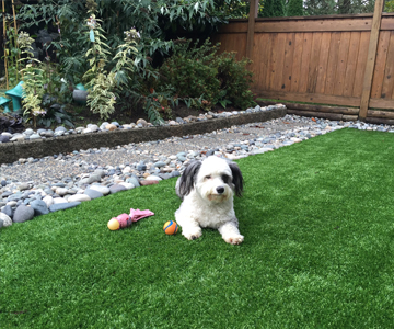 artificial grass for pets