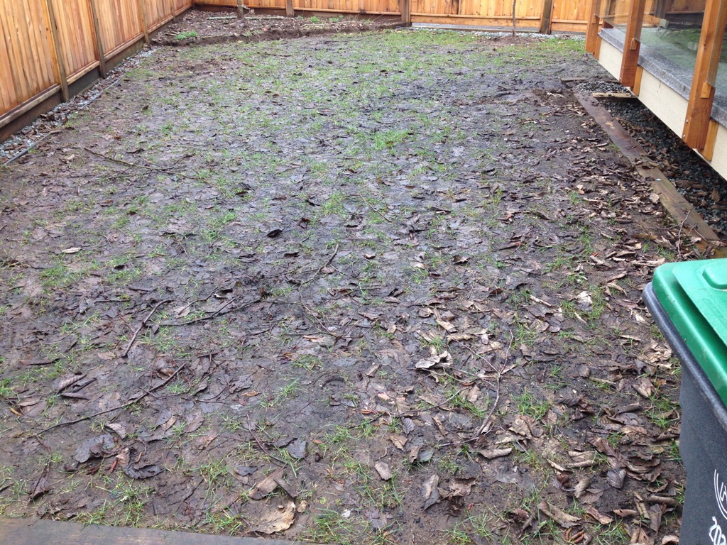 Before